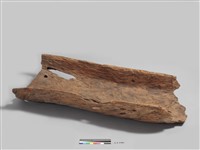 藏品(木舟)的圖片